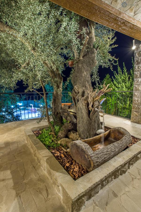Villa Marco Polo بودفا المظهر الخارجي الصورة